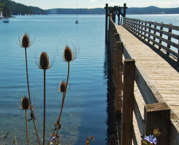 A private fishing pier on Orcas Island, Washington
